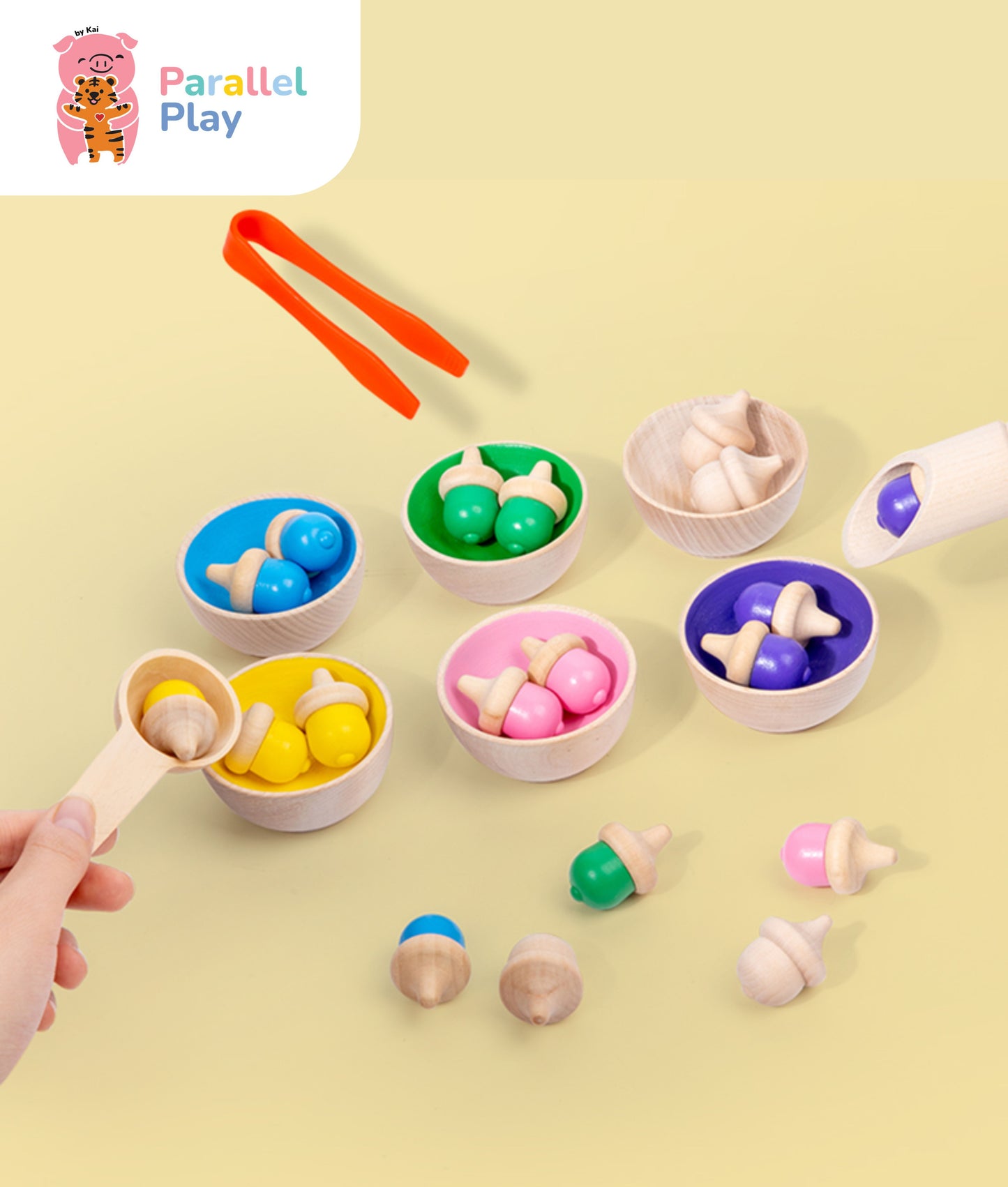 Rainbow Acorn Sorting Set