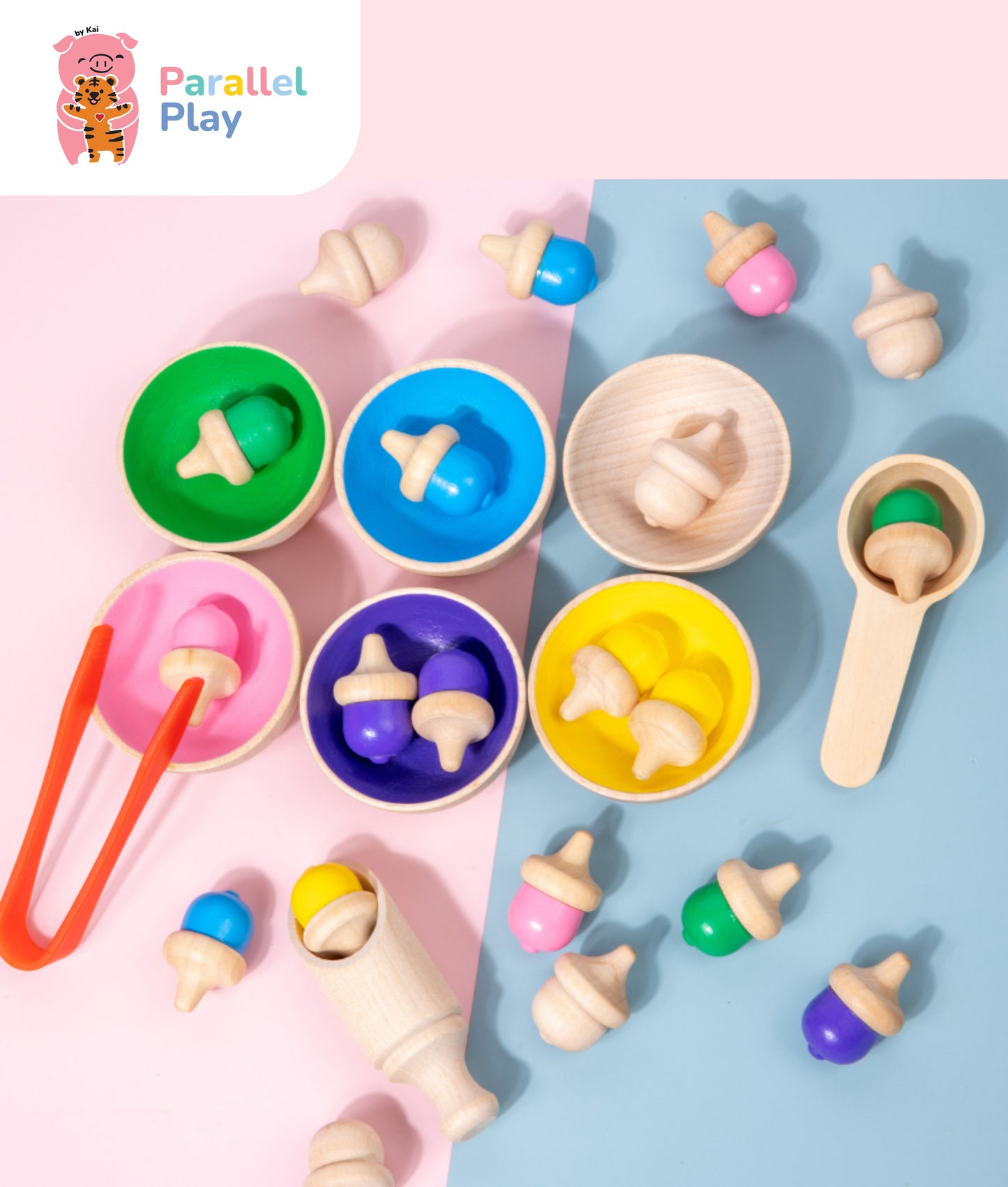 Rainbow Acorn Sorting Set